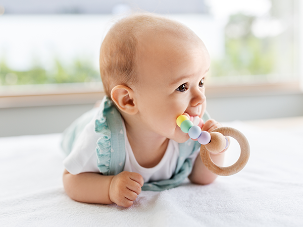 0歳くらい：歯が生え始める時期に大切にしたいこと